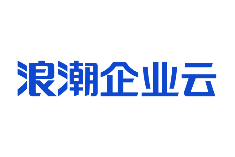 任再旺 以互联网数据服务驱动企业数字化转型